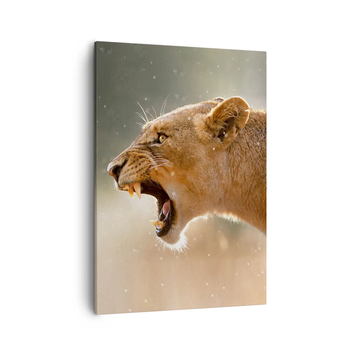 Lærredstryk - Billede på lærred - Prøv ikke at lytte - 50x70 cm