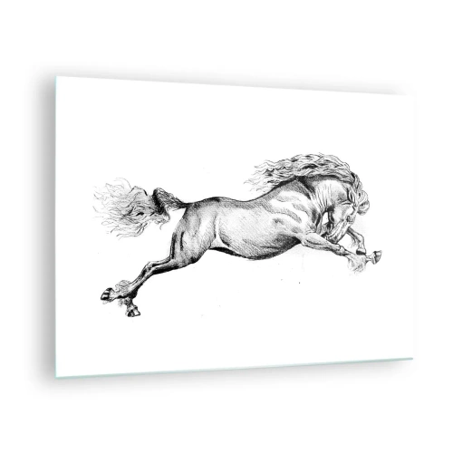 Billede på glas - Sort-hvid tegning af en galoperende hest - 70x50cm - Stoppet i galop - Moderne vægdekoration til stue og soveværelse ARTTOR