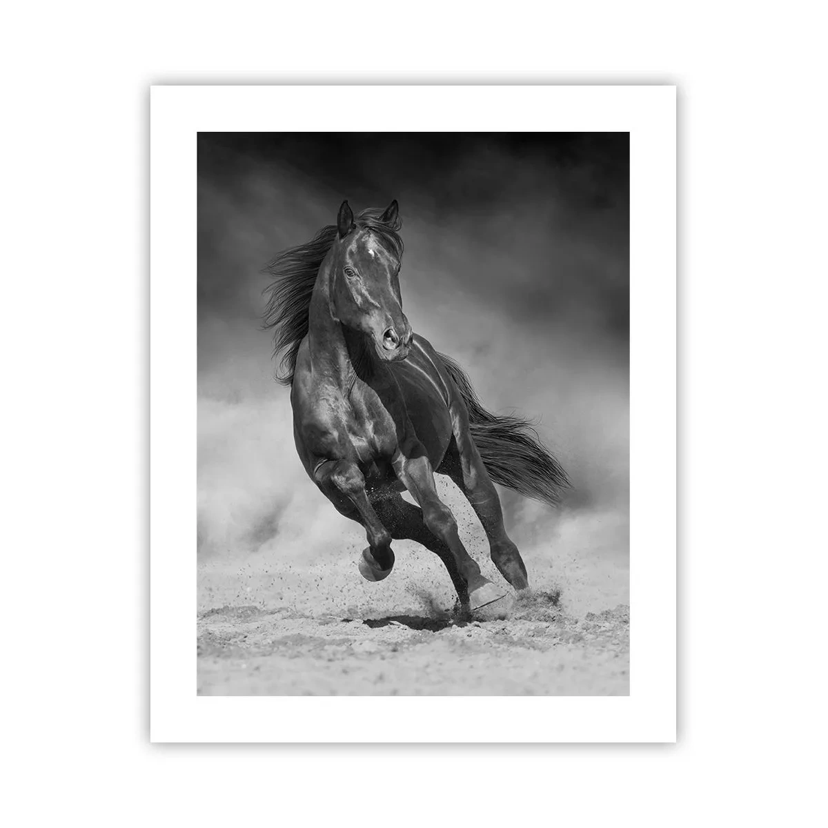Plakat - Værdig til emiren selv - 40x50 cm