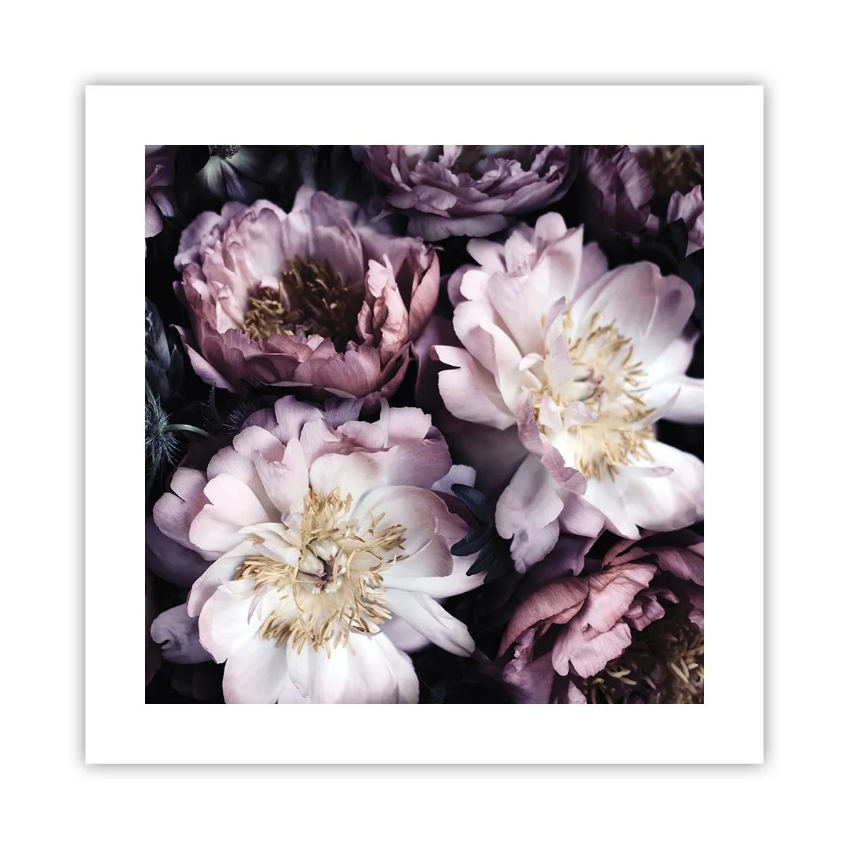 Plakat - Gammeldags buket - 40x40 cm