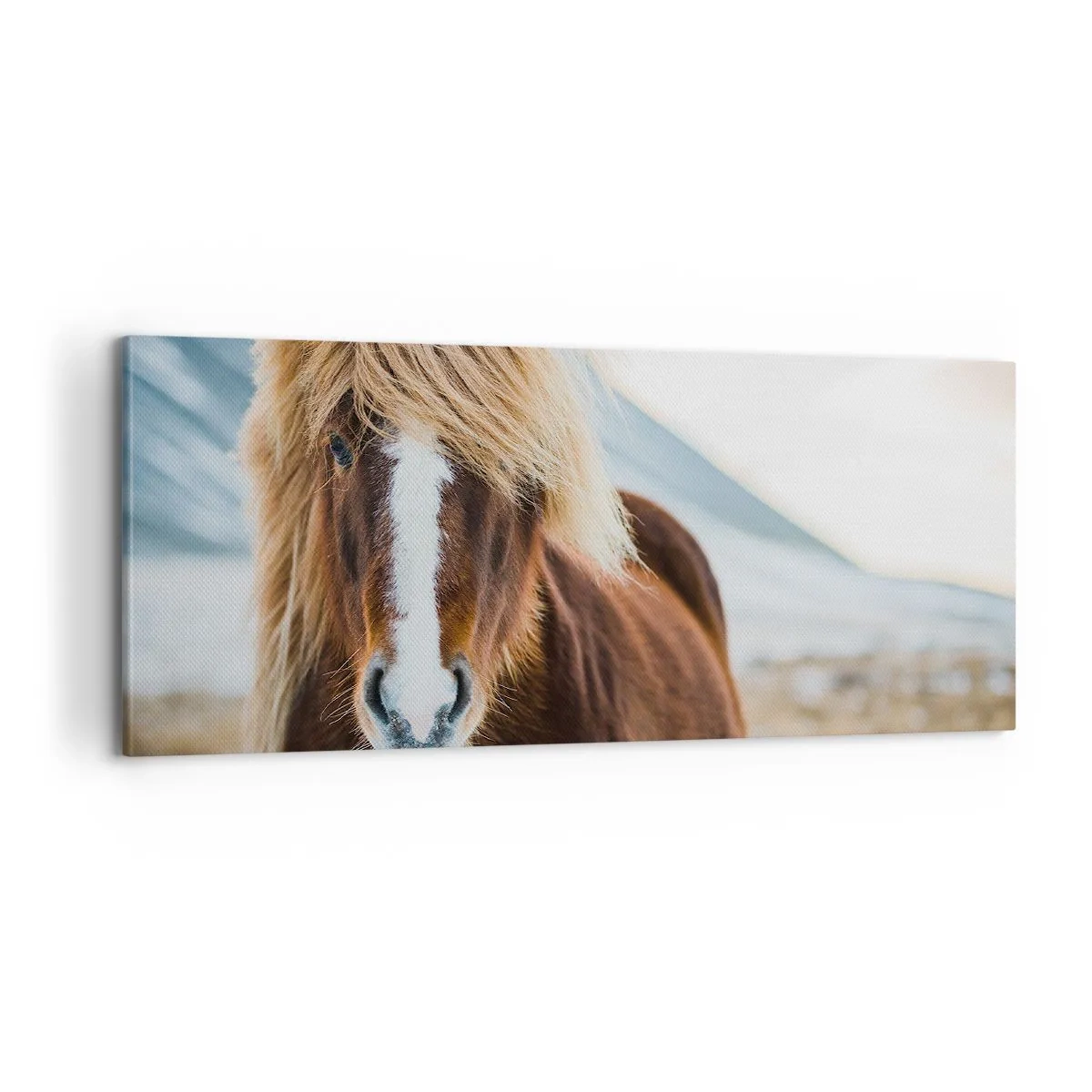 Lærredstryk - Billede på lærred - Kan du mærke friheden? - 100x40 cm