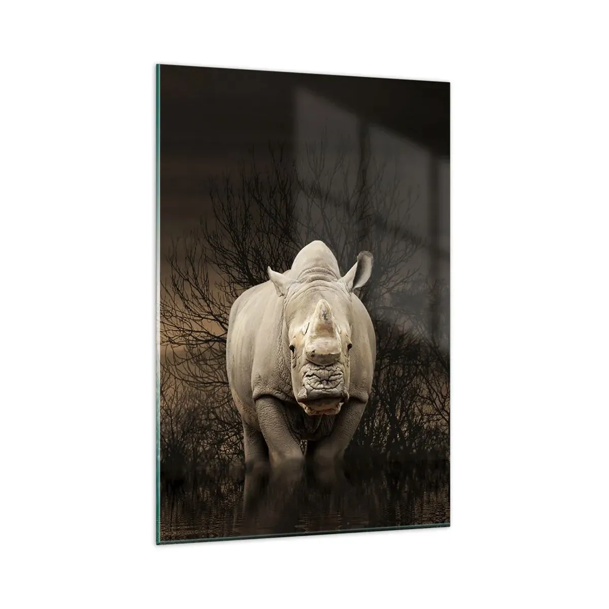 Billede på glas - Hvidt mod naturen - 80x120 cm