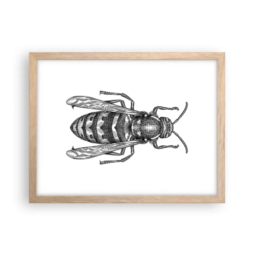 Plakat i ramme af lyst egetræ - Fra en insektplanet - 40x30 cm