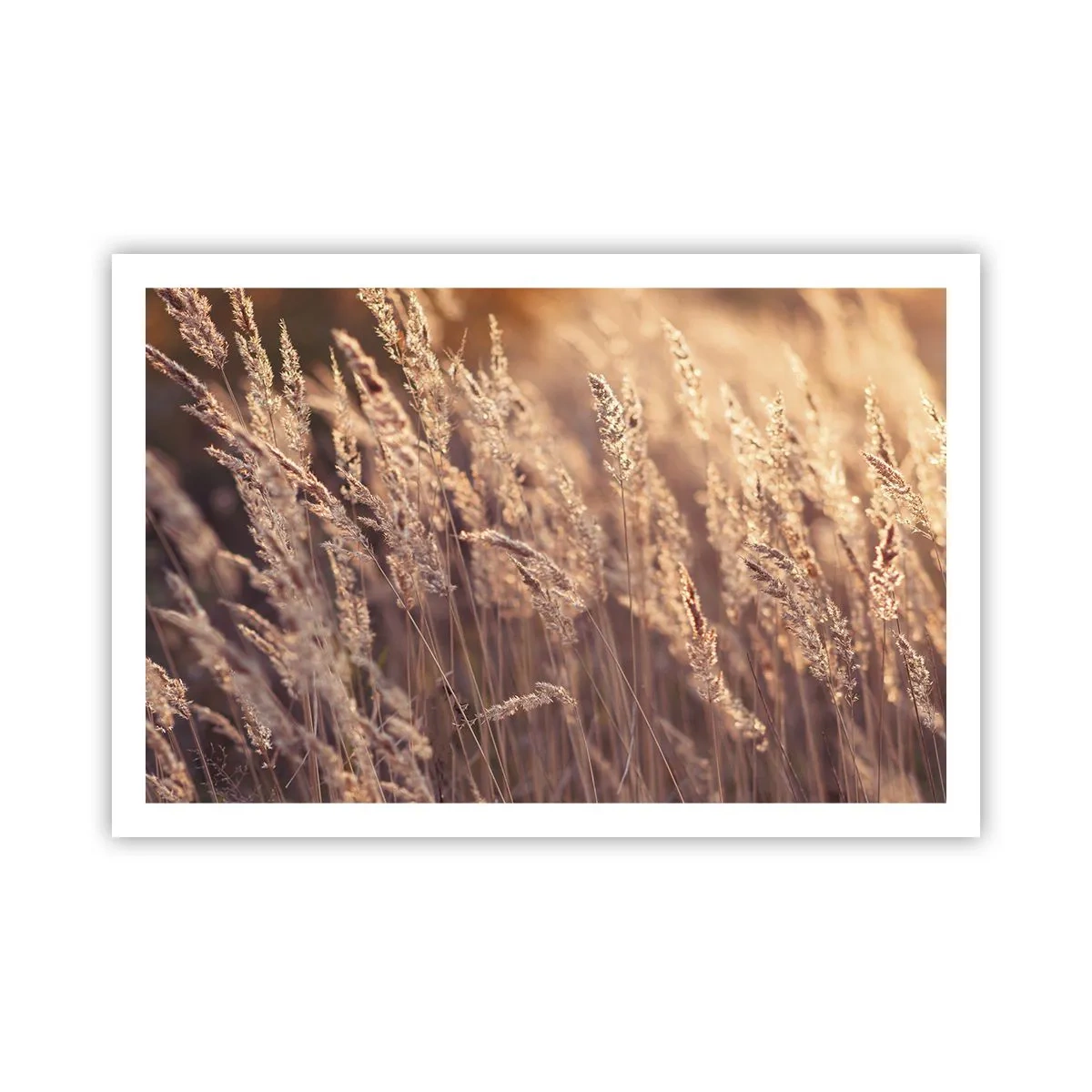 Plakat - Klar til at byde efteråret velkommen - 91x61 cm