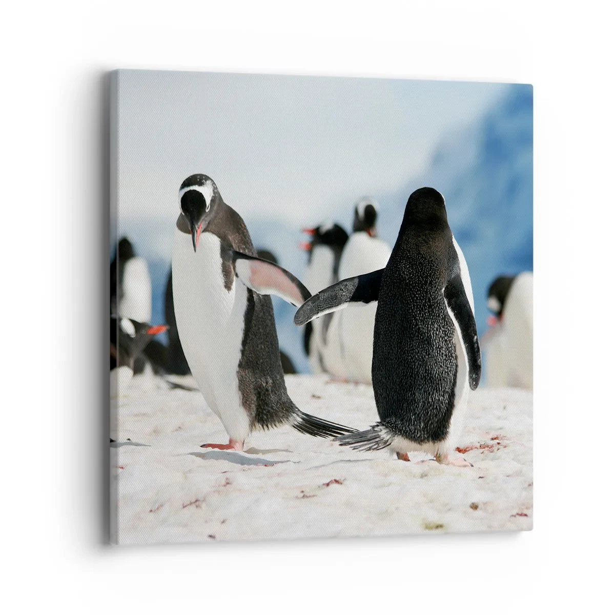 Lærredstryk - Billede på lærred - Danser i sneen - 40x40 cm