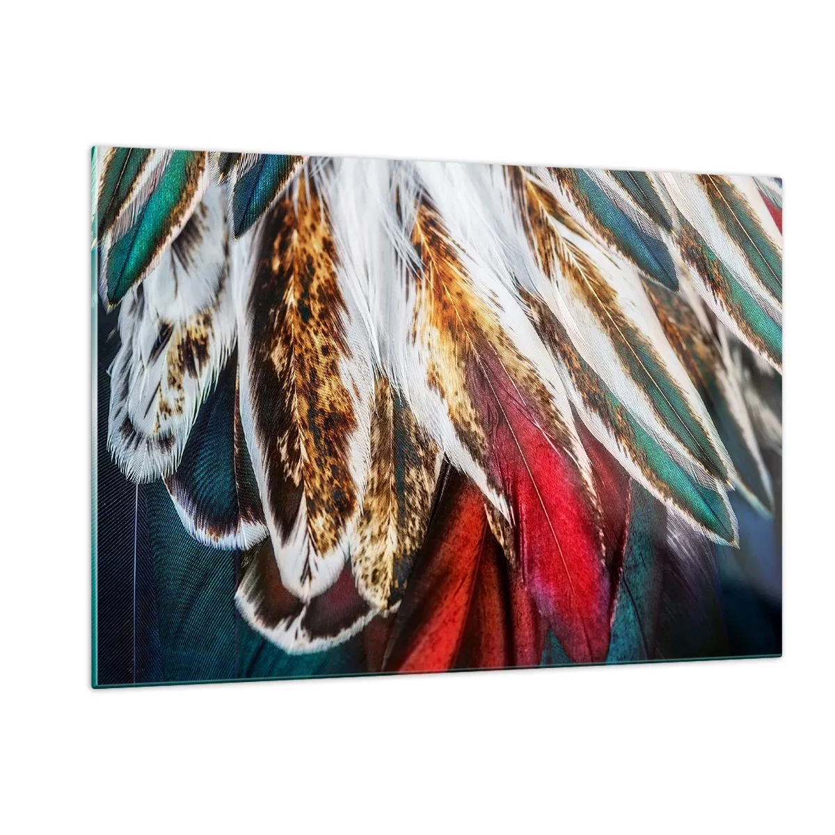Billede på glas - Flyvningens hemmeligheder - 120x80 cm
