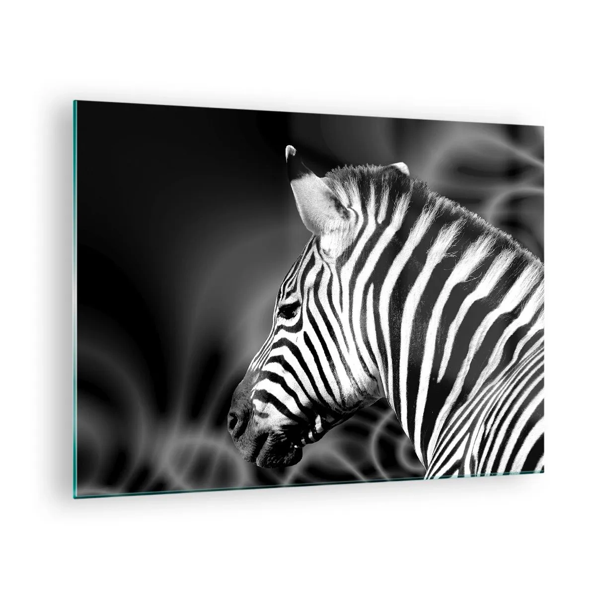 Billede på glas - Zebra i sort-hvid æstetik - 70x50cm - Hvid er hvid og sort er sort - Moderne vægdekoration til stue og soveværelse ARTTOR
