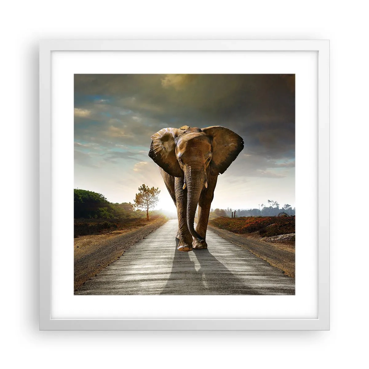 Plakat i hvid ramme - Og slet ikke i en porcelænsbutik - 40x40 cm