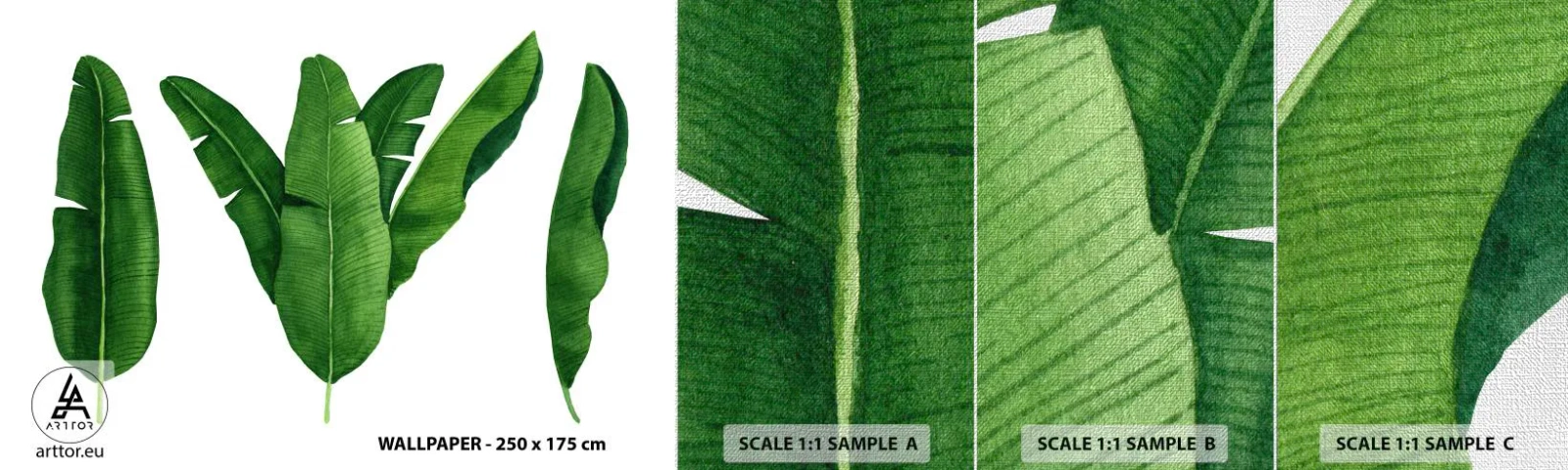 Prøve Fototapet Premium Canvas - Grøn symmetri - Bananblad, Tropisk, Botanisk stil - 100x30 cm