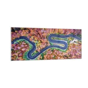 Billede på glas - En snoet vej gennem skoven - 100x40 cm