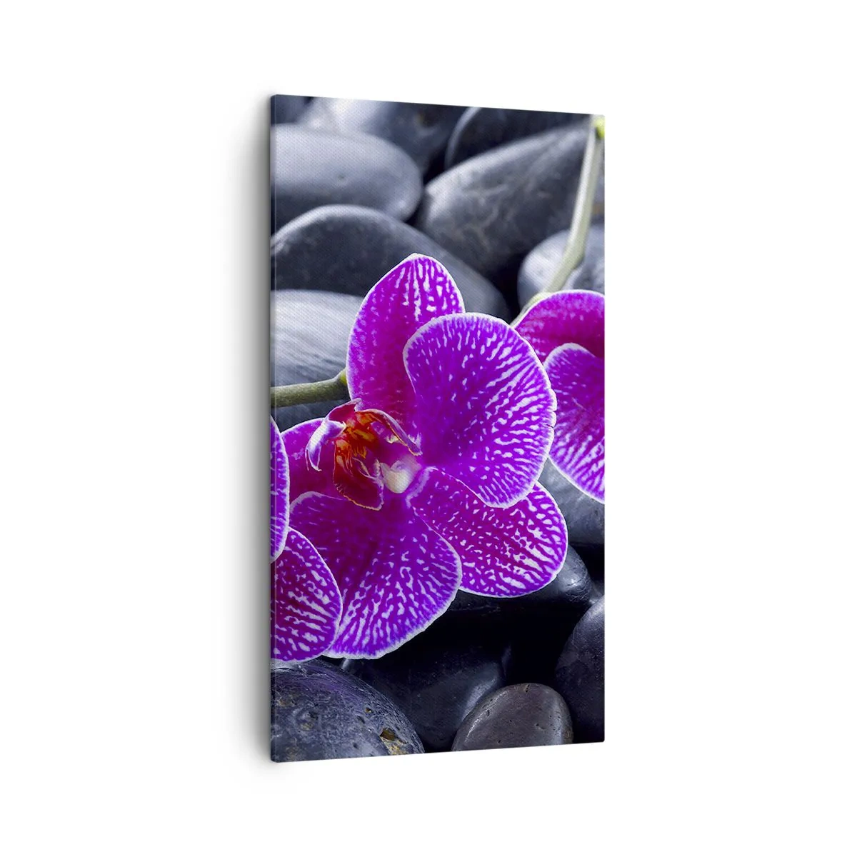 Lærredstryk - Billede på lærred - Stenene lyste op af glæde - 45x80 cm