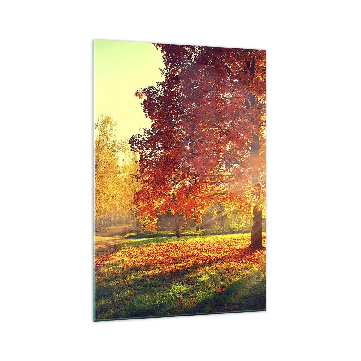 Billede på glas - Rød er smuk - 70x100 cm