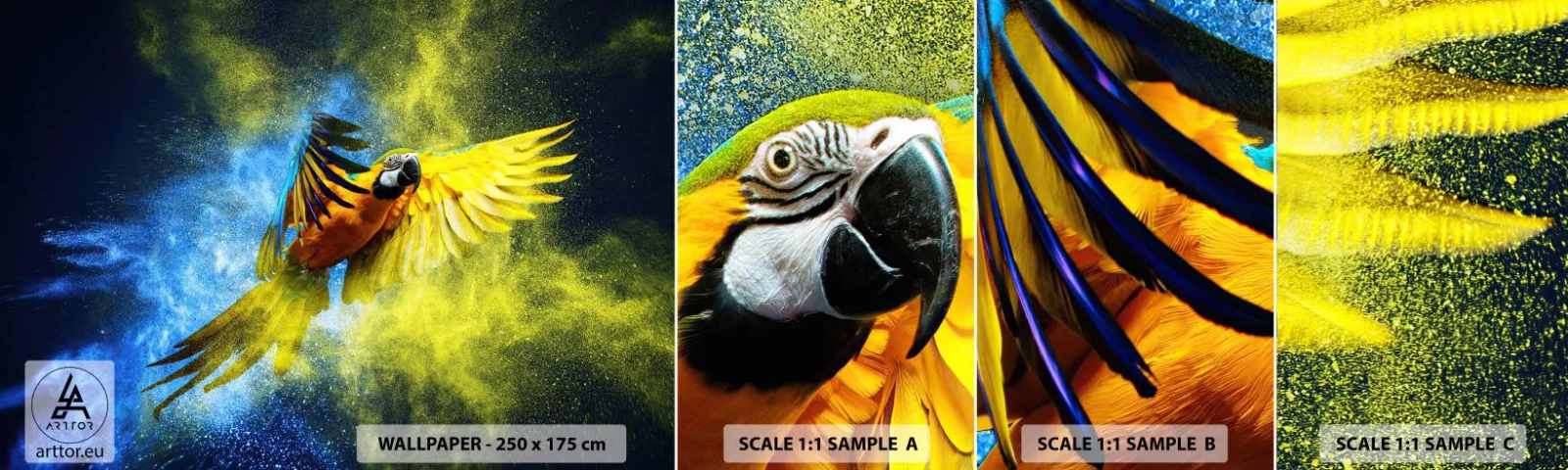 Fototapet Prøve Standard Eco - I det blå-gyldne støv - Papegøje, Abstraktion, Stykke - 100x30 cm