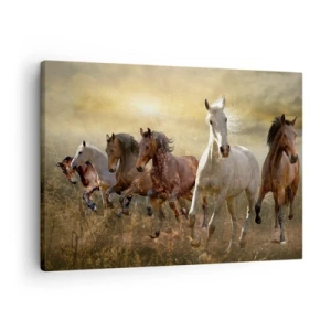 Lærredstryk - Billede på lærred - En gruppe galoperende heste mod baggrunden af den nedgående sol - 70x50cm - Længe leve friheden! - Moderne vægdekoration til stue og soveværelse ARTTOR