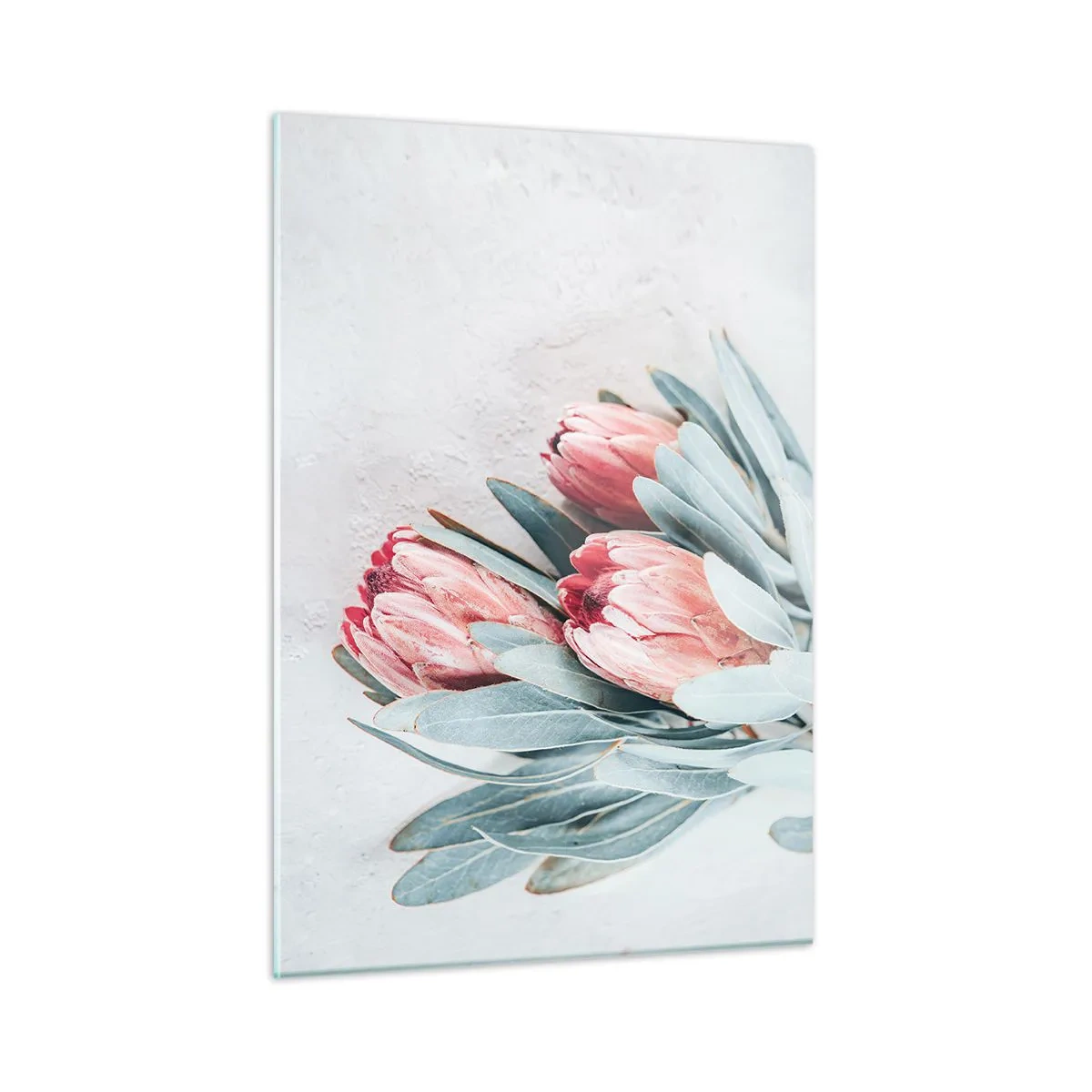 Billede på glas - Skammer sig over deres egen skønhed - 50x70 cm