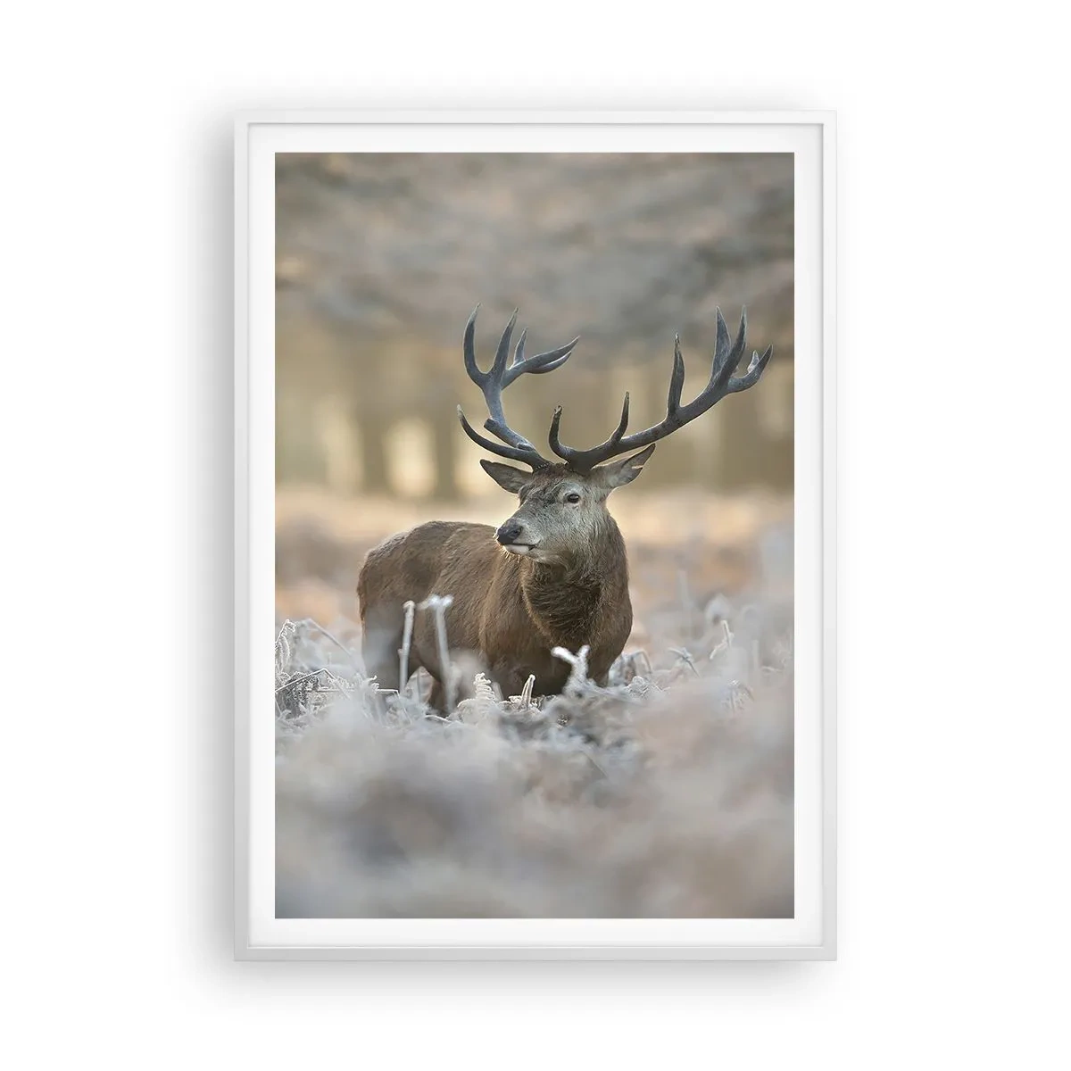 Plakat i hvid ramme - En frisk morgen - 70x100 cm