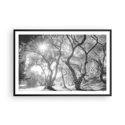 Plakat i sort ramme - I en olivenlund - 91x61 cm
