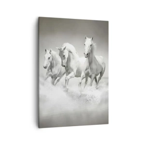 Lærredstryk - Billede på lærred - Hvid galskab - 50x70 cm