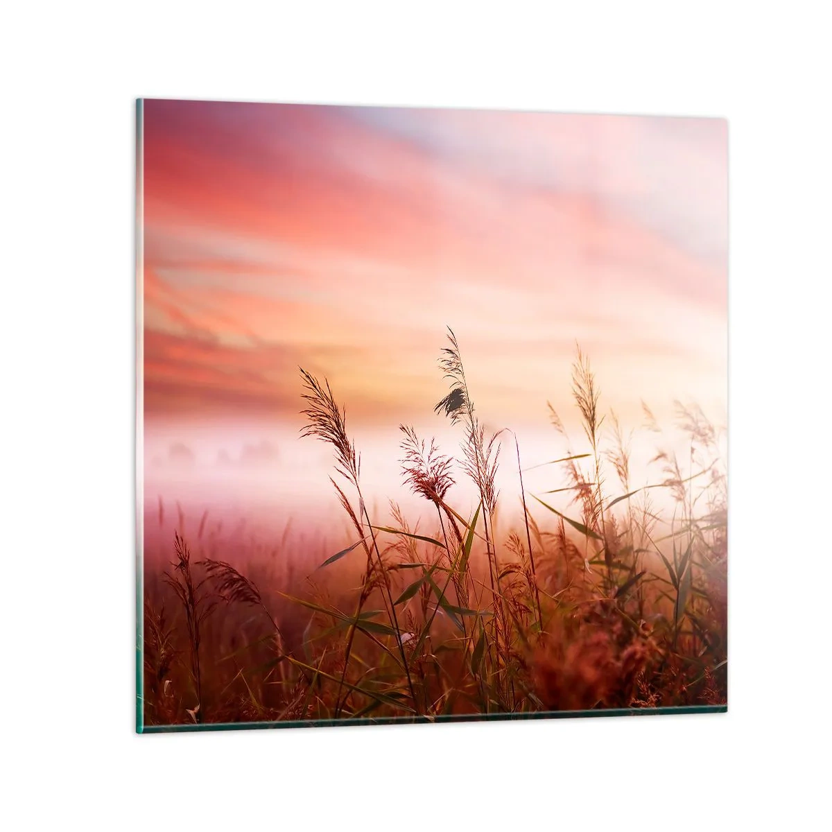 Billede på glas - Drager, blæsere, vind - 60x60 cm