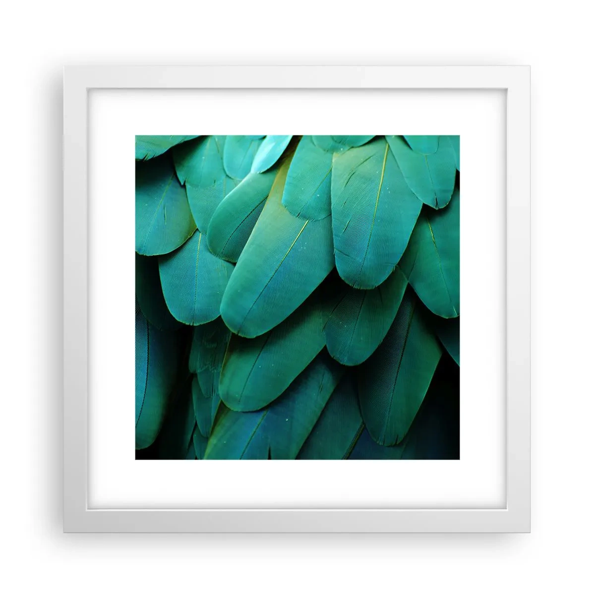 Plakat i hvid ramme - Papegøjenaturens præcision - 30x30 cm