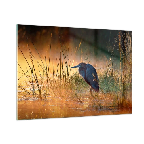 Billede på glas - Giv mig en chance med disse billeder - 100x70 cm