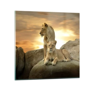 Billede på glas - Kongelig majestæt - 50x50 cm