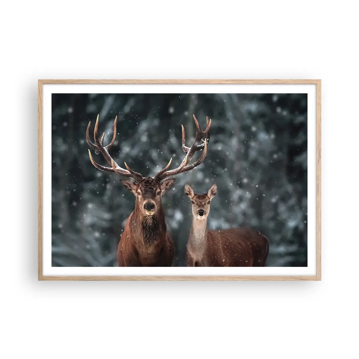 Plakat i ramme af lyst egetræ - Skovens herre og hans kone - 100x70 cm