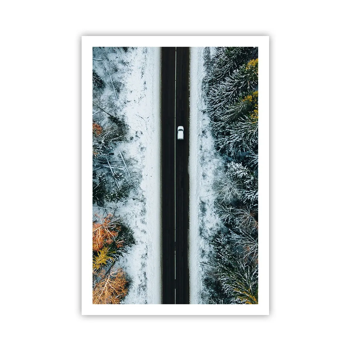 Plakat - Skær gennem vinterskoven - 61x91 cm