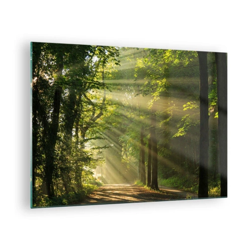 Billede på glas - En skovsti oplyst af solens stråler - 70x50cm - Øjeblik i skoven - Moderne vægdekoration til stue og soveværelse ARTTOR