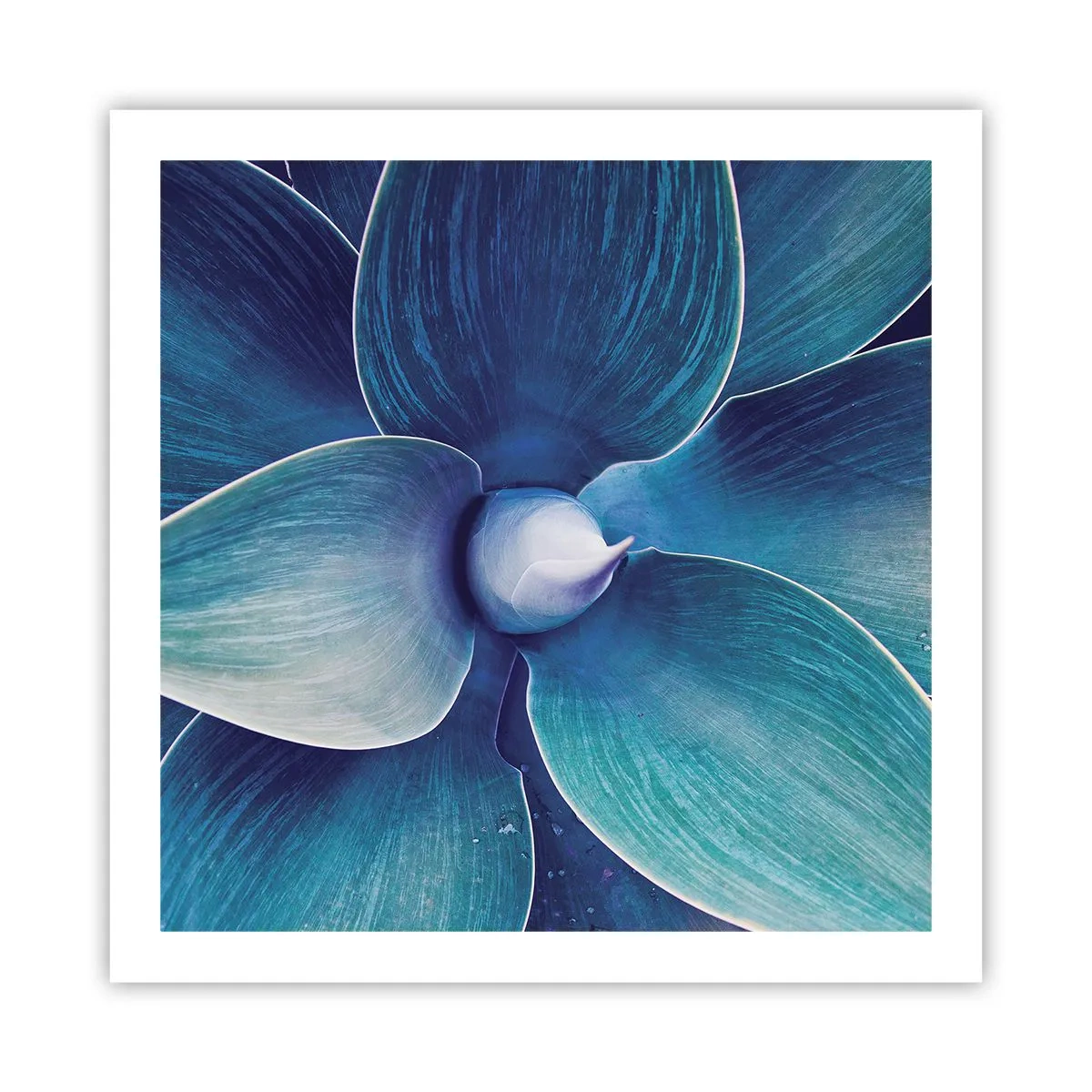 Plakat - Blå fra himlen - 60x60 cm