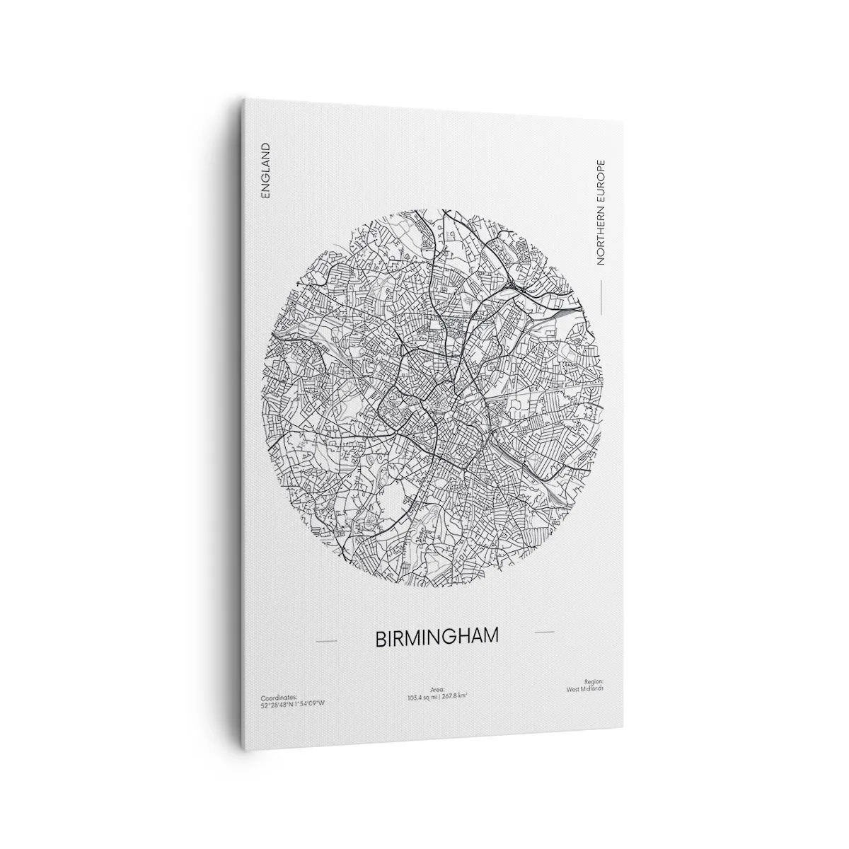 Lærredstryk - Billede på lærred - Birminghams anatomi - 80x120 cm