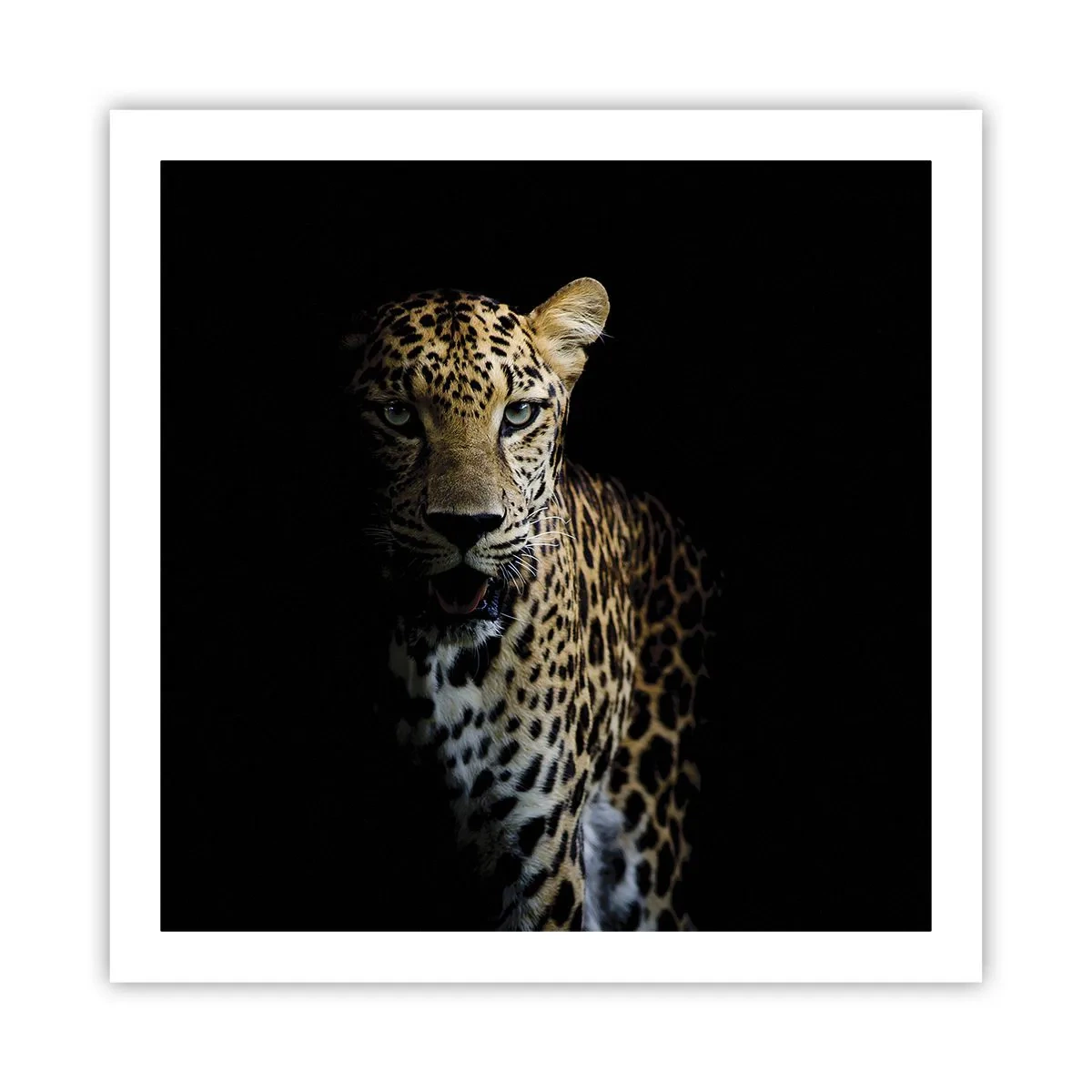 Plakat - Mørk skønhed - 60x60 cm