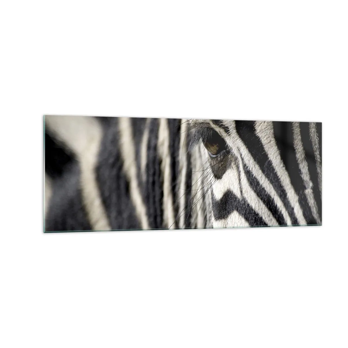 Billede på glas - Stribet portræt - 140x50 cm