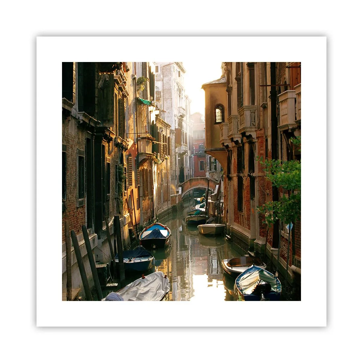 Plakat - I en venetiansk baggyde - 40x40 cm