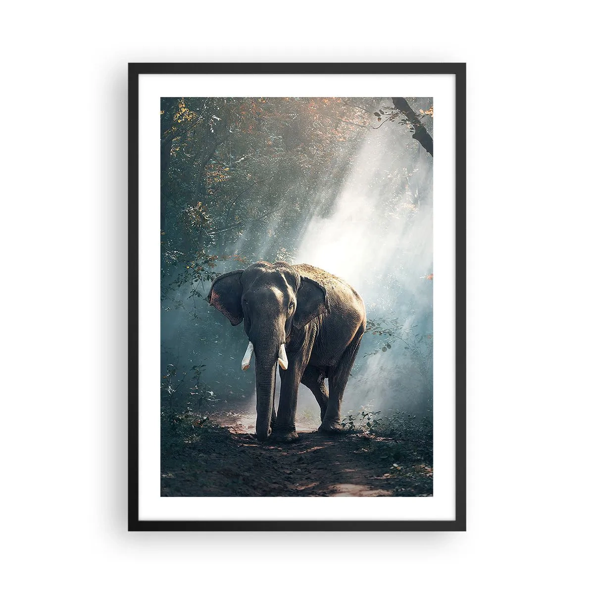 Plakat i sort ramme - En elefant, der soler sig i en tæt skov - 50x70cm - En fredelig gåtur - Moderne vægdekoration til stue og soveværelse ARTTOR