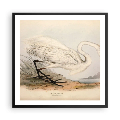 Plakat i sort ramme - Dame på sivene - 60x60 cm