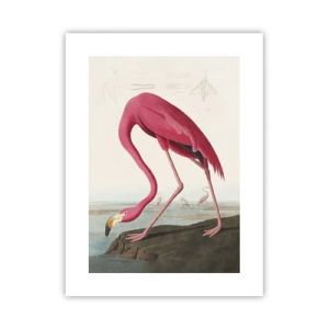 Plakat - Et forbløffende væsen - 30x40 cm