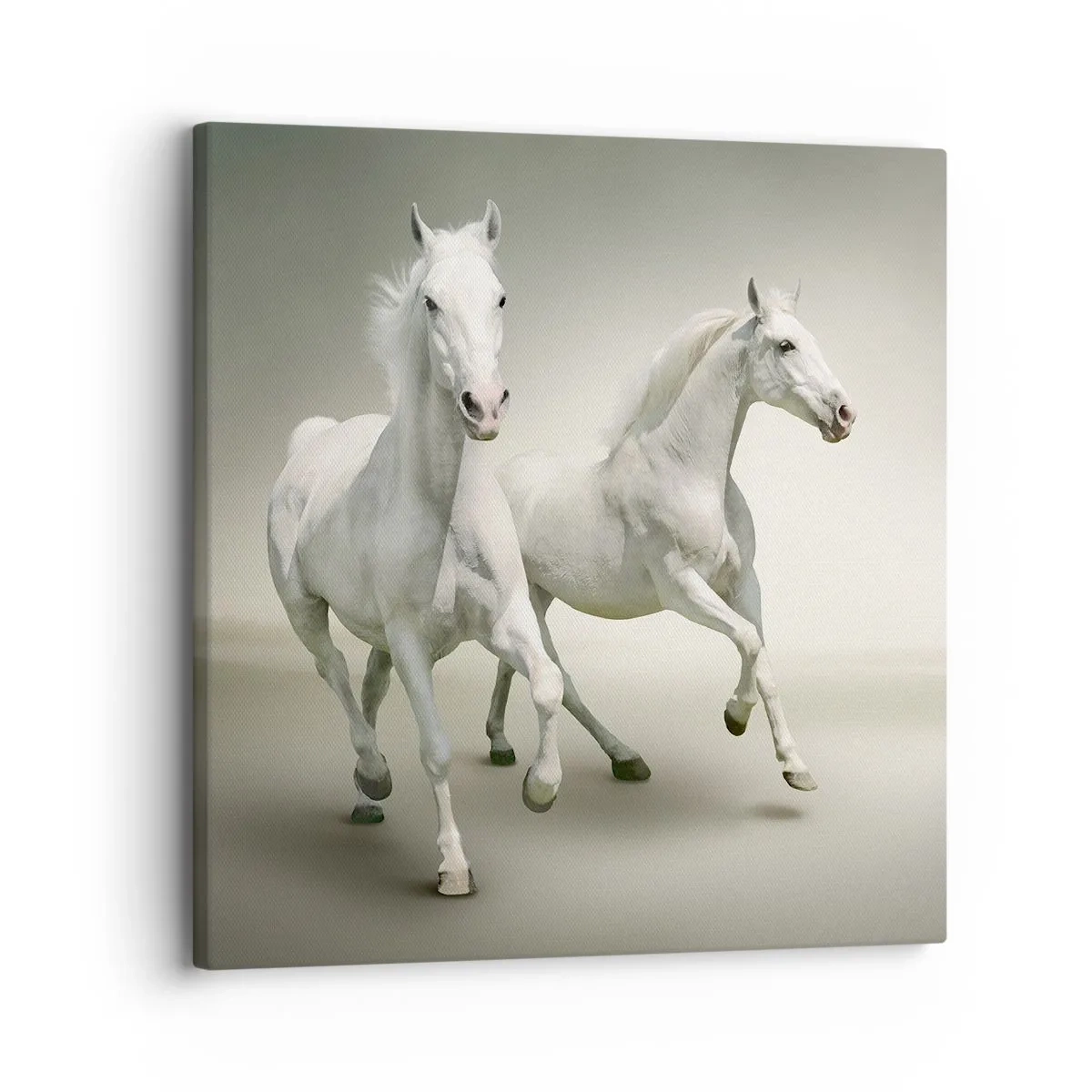 Lærredstryk - Billede på lærred - White power! - 30x30 cm