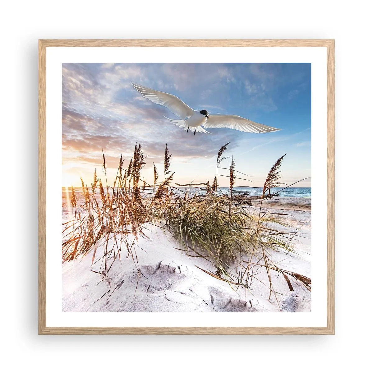 Plakat i ramme af lyst egetræ - Vind fra havet - 60x60 cm