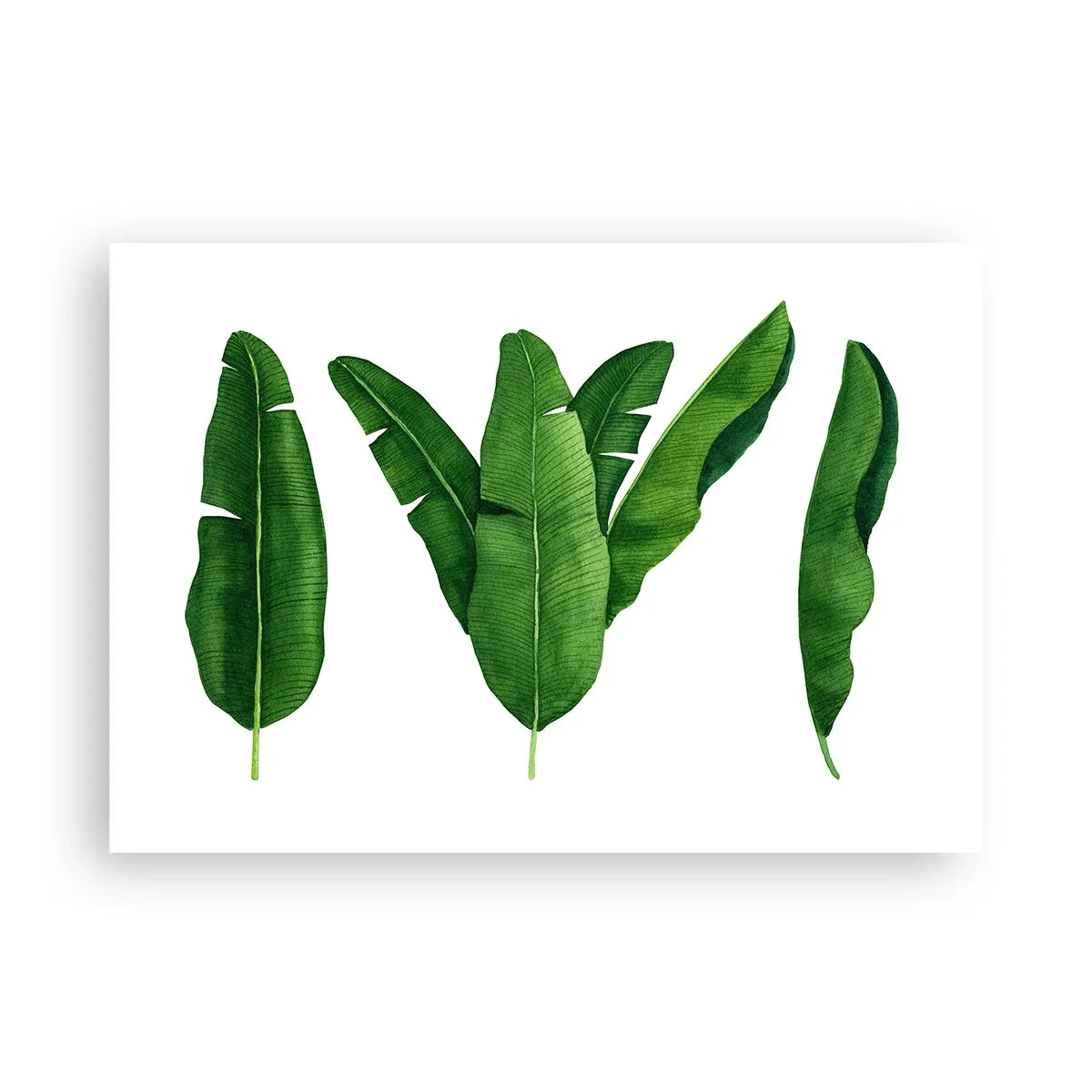 Plakat - Grøn symmetri - 100x70 cm