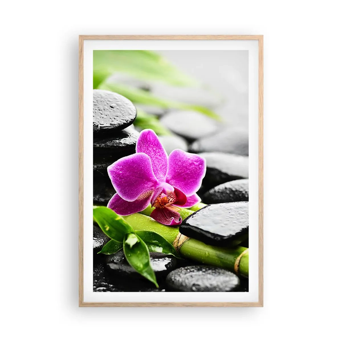 Plakat i ramme af lyst egetræ - I en fredelig balance - 61x91 cm