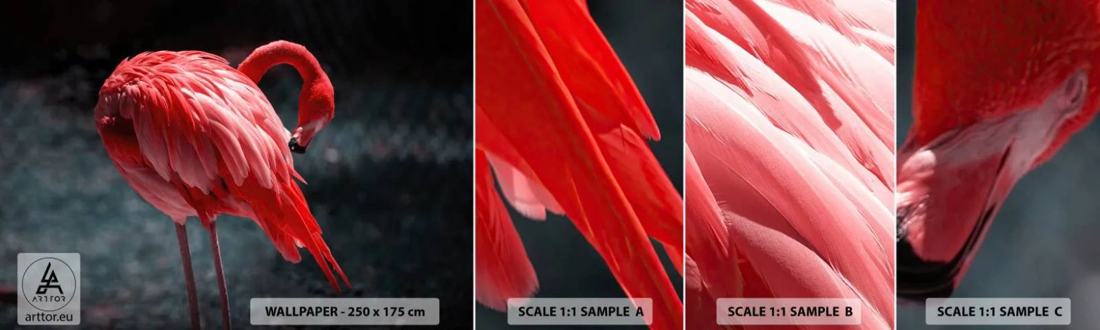 Prøve Fototapet Selvklæbende Deluxe Sticker - Et karmosinrødt naturdigt - Flamingo, Fugl, Natur - 100x30 cm