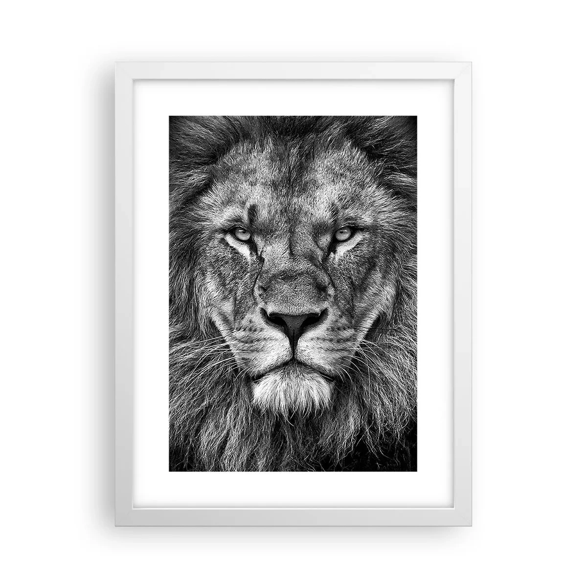 Plakat i hvid ramme - I kroningsklædning - 30x40 cm