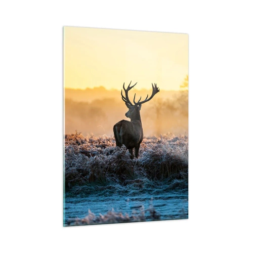 Billede på glas - Kronet på sine godser - 50x70 cm