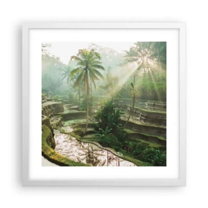 Plakat i hvid ramme - Voksende op i solen - 40x40 cm