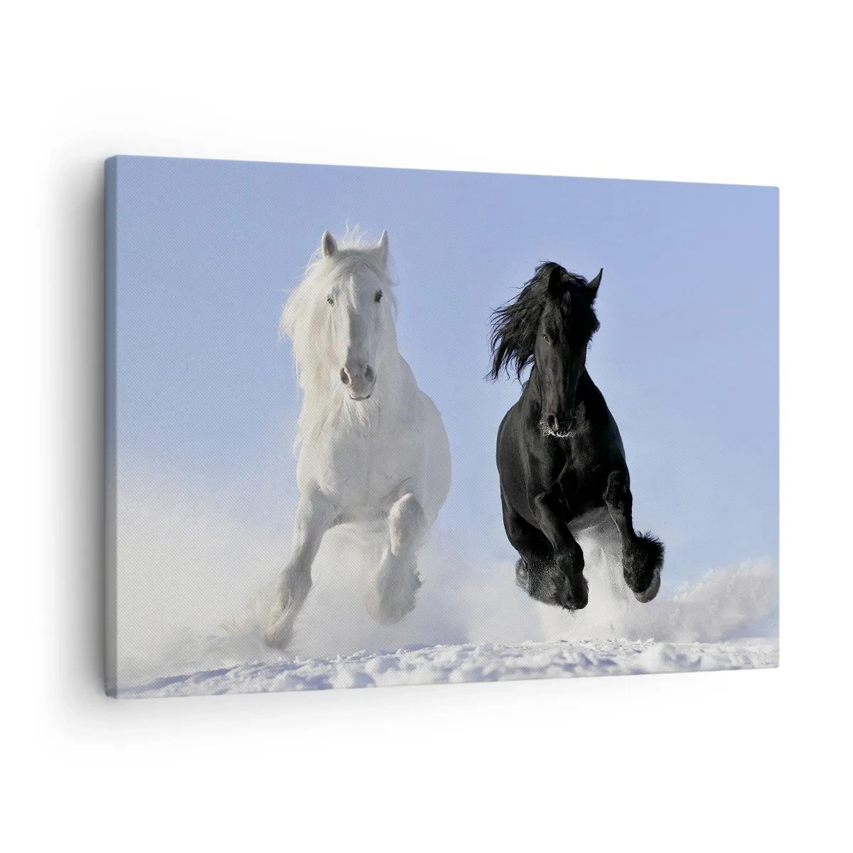 Lærredstryk - Billede på lærred - En hvid og en sort hest galoperer gennem sneen - 70x50cm - Sort og hvid galop - Moderne vægdekoration til stue og soveværelse ARTTOR