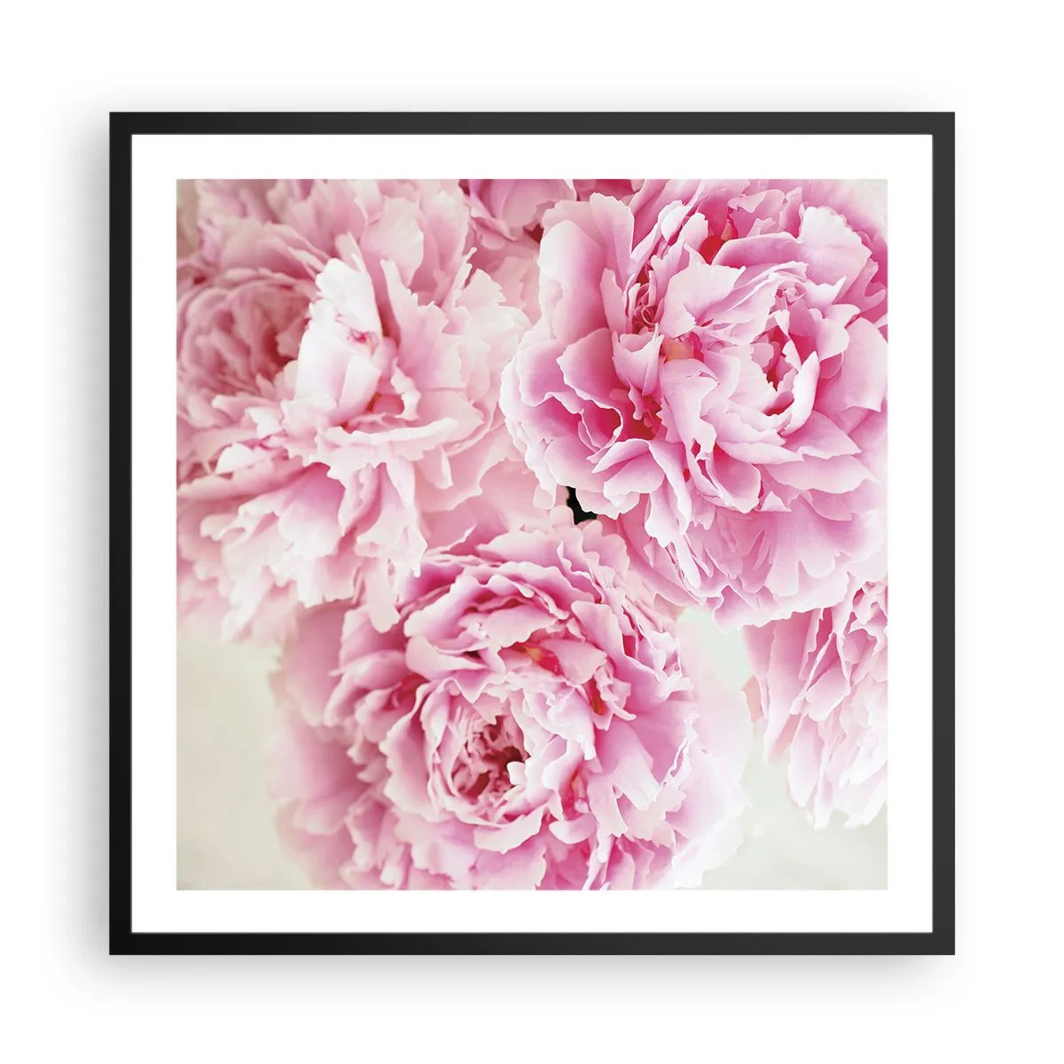 Plakat i sort ramme - I lyserød glamour - 60x60 cm