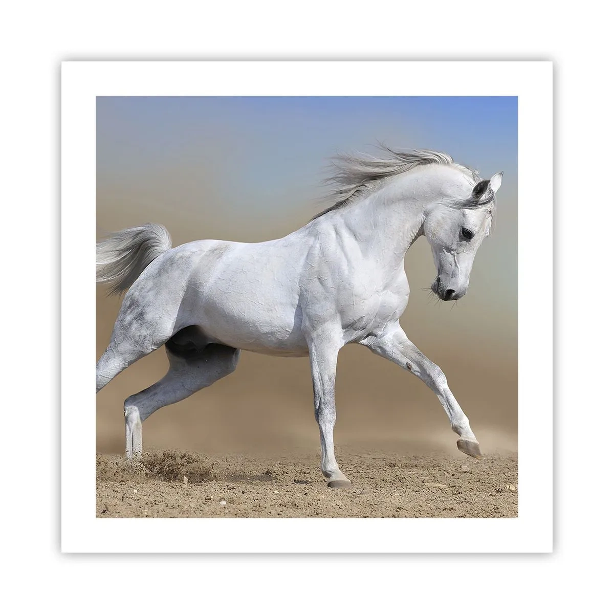 Plakat - Den smukkeste arabiske fortælling - 50x50 cm