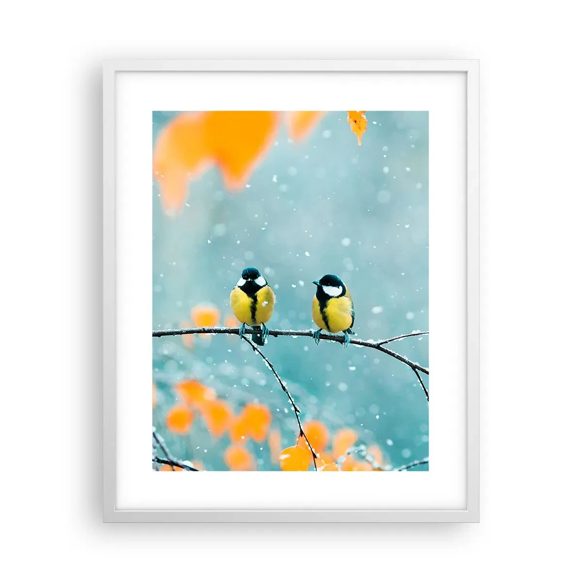 Plakat i hvid ramme - Sladder om fugle - 40x50 cm