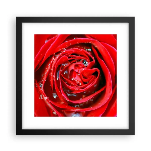 Plakat i sort ramme - I dråber af dug - 30x30 cm